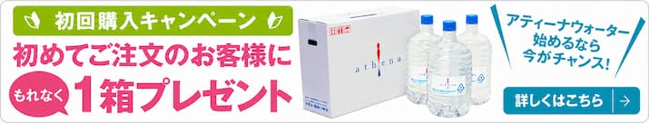 初回購入キャンペーン 初めてご注文のお客様にもれなく1箱プレゼント